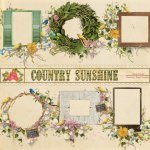 Country Sunshine