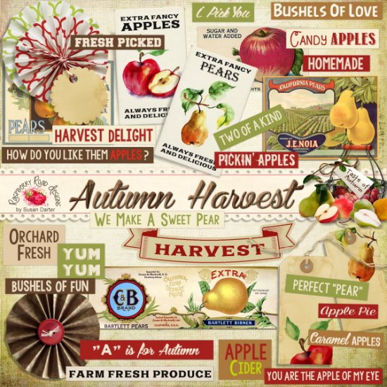Autumn Harvest Paper Goods - Click Image to Close