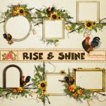 Rise & Shine Clusters