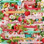 Strawberry Season Elements