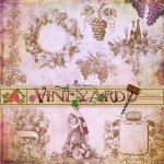 Vineyard Stamps