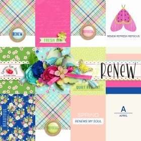 RENEW Journal Cards