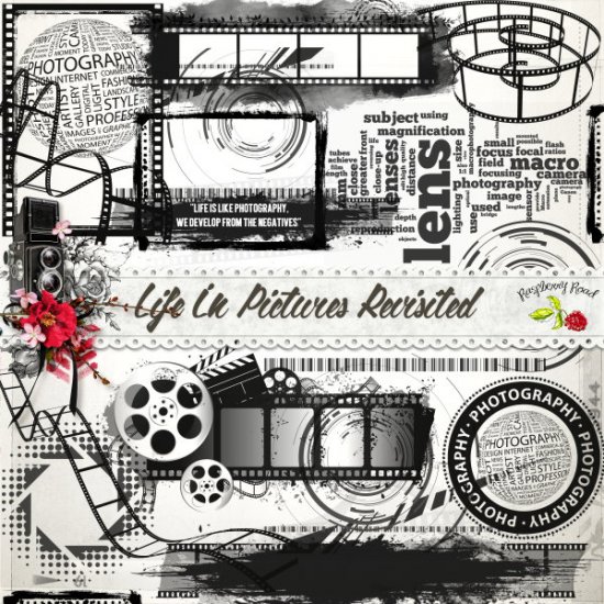 Life In Pictures Revisited Photography Stamps - Click Image to Close
