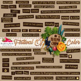 Festival Of Color Labels