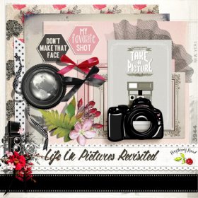 Life In Pictures Revisited Mini Kit