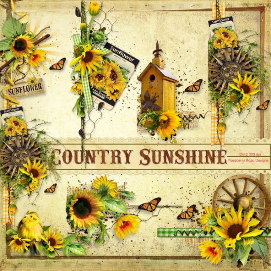 Country Sunshine 2 Side Clusters - Click Image to Close
