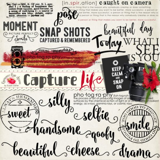 Capture Life Wordart - Click Image to Close