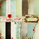 Poppy Hill Paper Set