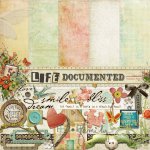 Life Documented Add On Kit Life Documented Add On Kit