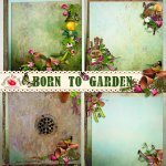 Born To Garden Stacked Paper Set Born To Garden Stacked Paper Set