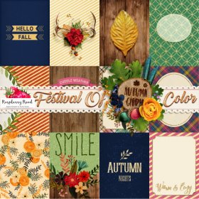 Festival Of Color Journal Cards