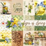 Signs of Spring Journal Cards