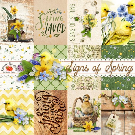 Signs of Spring Journal Cards - Click Image to Close