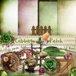 Cabbage Patch Add-on Kit Cabbage Patch Add-on Kit