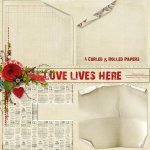 Love Lives Here CurledRolled Paper Set