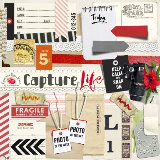 Capture Life Ephemera