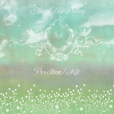 Angel Policy - Kit