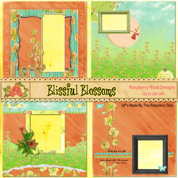 Blissful Blossom CT QP Set1
