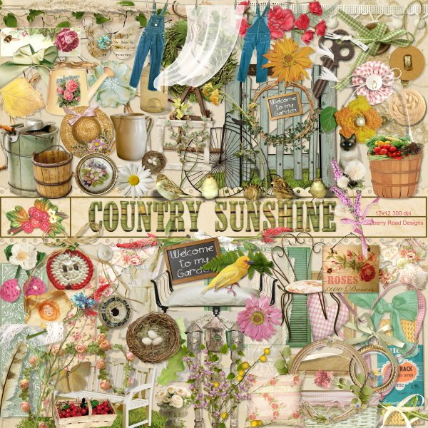 Country Sunshine Elements