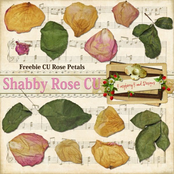 Shabby Rose CU Freebie