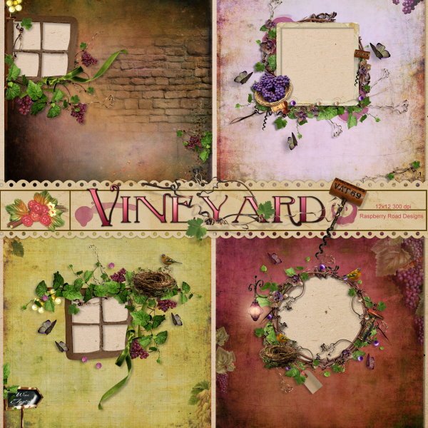 Vineyard QP Set 2